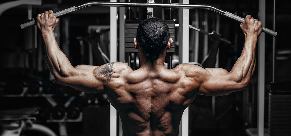 Программа тренировок для больших мышц спины